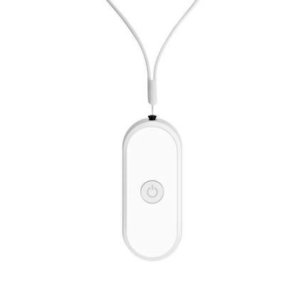 FitPow Ionic Air Generator